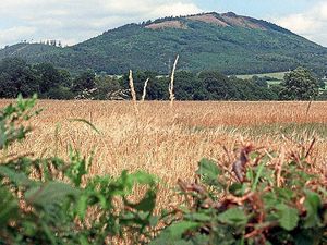 Supporting image for story: Casualty rescued from the Wrekin after breaking ankle in fall