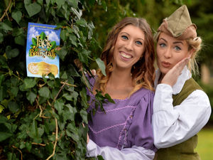 Supporting image for story: Cannock Chase Drama Society to perform Jack and the Beanstalk