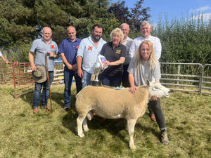 Show Champion in the sheep section - Sian and Reg Evans from Green Farm