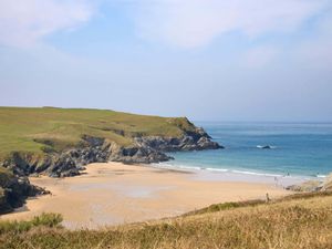 Supporting image for story: Police investigate after sheep chased to death off cliff edge in Cornwall