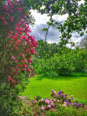 Llanstephan House's garden will be open