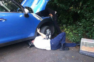 It took a while to free Ayrton from the car engine