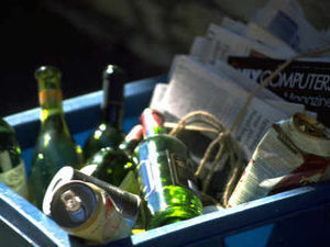 Supporting image for story: Letter: Another box for recycling? Oh goody...