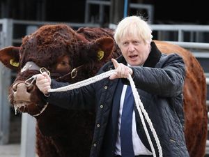 Supporting image for story: Cross-party MPs ‘preparing legal action’ to force Boris Johnson to delay Brexit