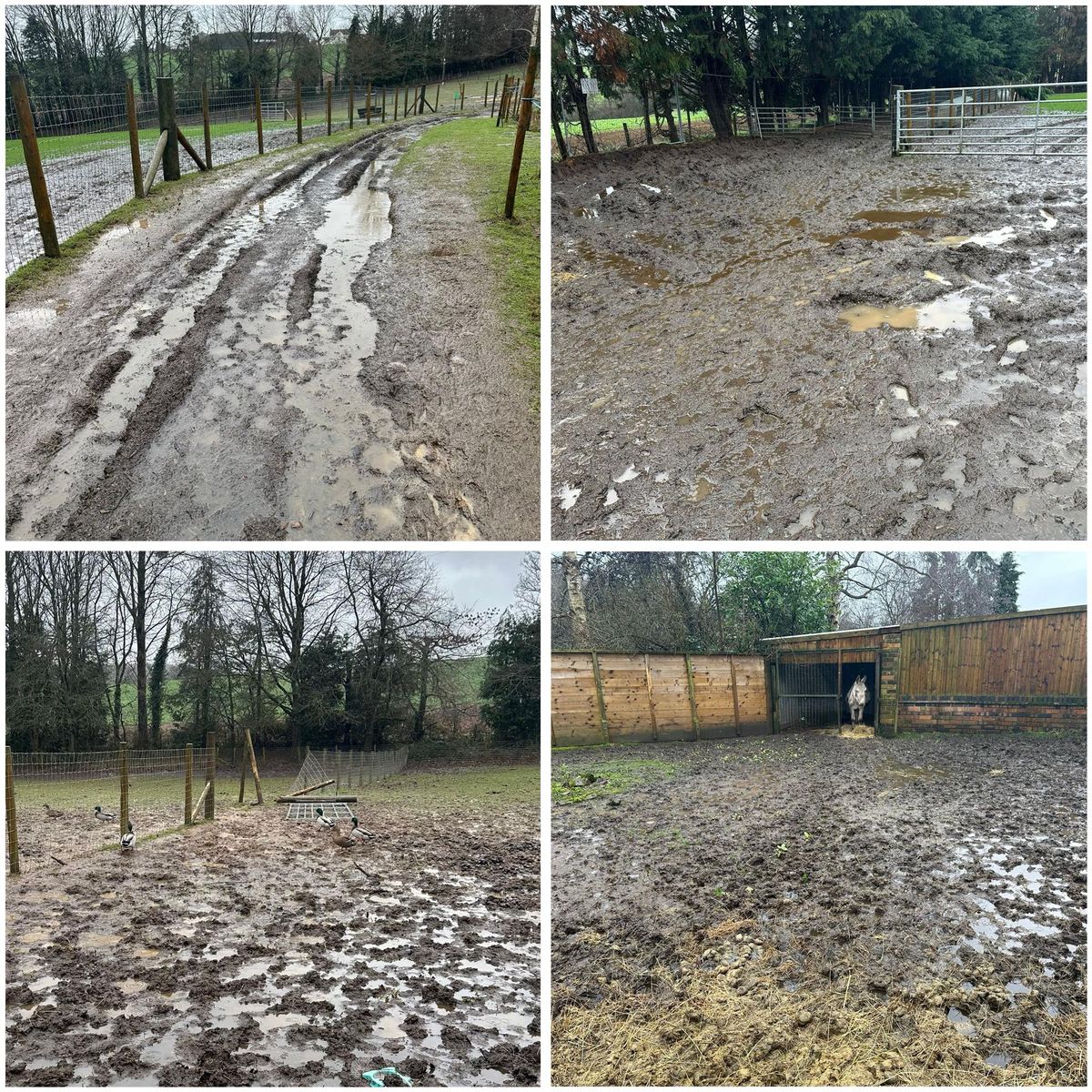 We have come to the devastating decision that we just can not open to the public Fears for Bridgnorth rescue centre as it temporarily closes due to &pound;50,000 worth of weather damage