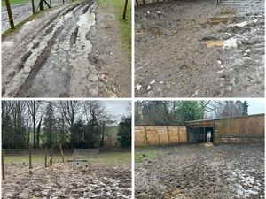 Supporting image for story: 'We have come to the devastating decision that we just can not open to the public' Fears for Bridgnorth rescue centre as it temporarily closes due to £50,000 worth of weather damage