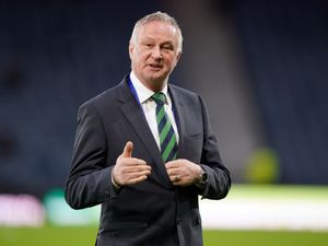Michael O’Neill looks on