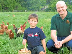 Supporting image for story: Wheat quality is a worry due to the weather