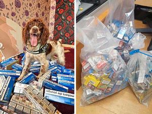 Supporting image for story: Over £3.7m worth of illegal tobacco seized in Black Country and Staffordshire
