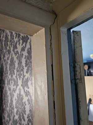 Cracks residents say are caused by trees roots in Newark Road. Picture Martyn Smith/LDRS free for LDRS use