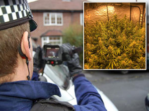 Supporting image for story: Cannabis gangs hunt out drug dens using hi-tech cameras