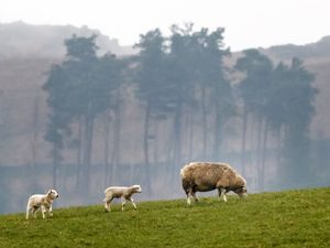 Supporting image for story: Countryside business boom as almost 100,000 new rural firms launched