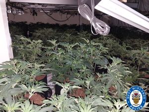 A large cannabis factory set-up in 11 makeshift rooms was found on Cato Street North in Nechells. Photo: West Midlands Police
