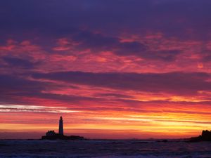 Supporting image for story: Met Office forecasts ‘mild Christmas’ with ‘notably high temperatures’