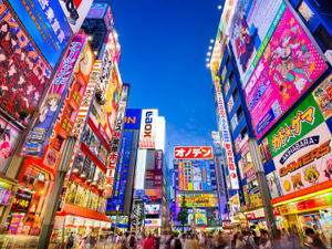 Supporting image for story: Peter Rhodes on hoodlums, emergencies and what to expect from the national-alert scheme