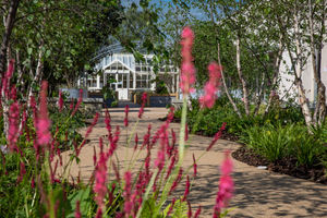 Horatio's Garden Gobowen. Picture Mandy Jones