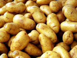 Supporting image for story: Farming Talk: Fiona takes the helm at the Potato Council