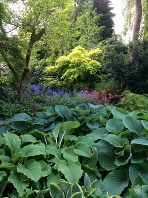 A half-acre botanical garden will also be revealed this weekend in Shrewsbury