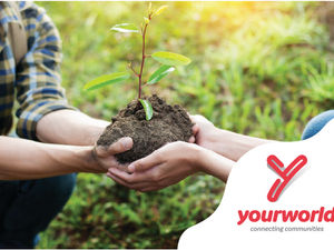 Supporting image for story: Watch: Walsall garden lovers gather for first Green Growing event