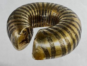 The Bronze Age ring discovered in Shropshire