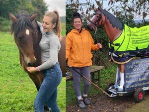 Supporting image for story: Woman to pull resin horse from Wales to Birmingham in daughter’s memory