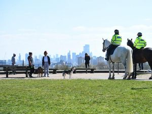 Supporting image for story