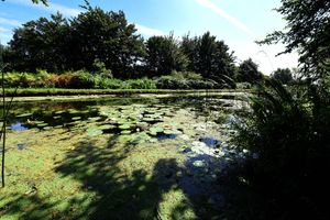 There is a fully accessible fishing platform 