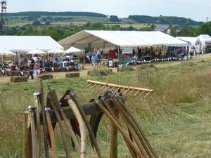 Supporting image for story: Hay, what a great day out for the family!