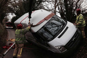 Firefighters at the scene. Photo: @SFRSWellington