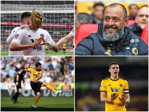 Supporting image for story: Wolves fan survey 2018/19 - What did you make of the season at Molineux?