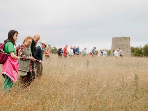 Supporting image for story: Beauty spot's annual orchid count turns celebration after local nature reserve designation