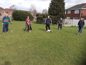 Supporting image for story: Dozens more trees planted in Newport