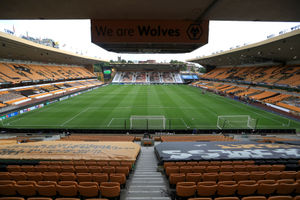 Supporting image for story: Decision to freeze Wolves matchday tickets welcomed by Trust