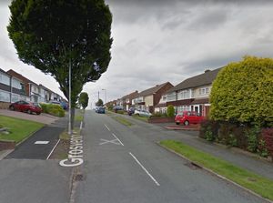 Supporting image for story: Dog attack suspect no longer under investigation after incident which saw pensioner mauled