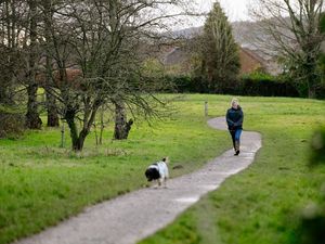 Supporting image for story: Telford green spaces protected against development in council move