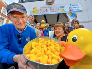 Supporting image for story: Bridgnorth set to go quackers with first duck race