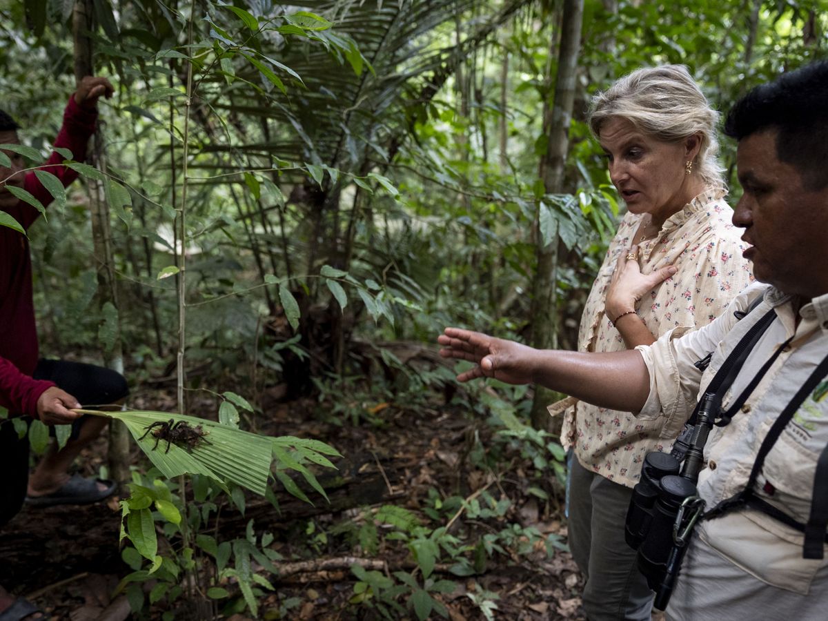 Sophie encounters &lsquo;king of spiders&rsquo; on jungle trek in Peru