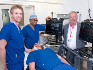Supporting image for story: Hospital gets more than a little help from its friends