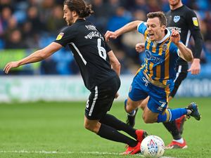 Supporting image for story: Shrewsbury Town verdict: Encouraging signs despite home defeat