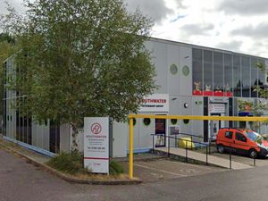 Supporting image for story: Rescue centre shares heartbreaking update on starving and wounded dog picked up by Shropshire dog warden