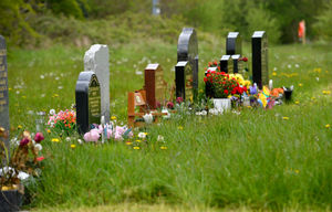 The grass is overgrown and residents have been seen cutting it themselves with scissors 