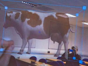 Supporting image for story: Holo-cow! Interactive cows brought into classroom at Newport university