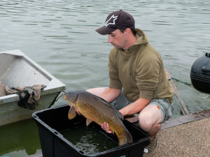 Supporting image for story: Ecological disaster averted at the jewel in Llandrindod Wells' crown, thanks to massive volunteer effort