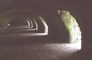 Inside the lime kilns at Llanymynech Heritage Area
