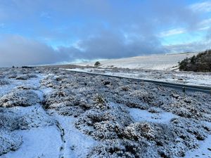 Supporting image for story: List of schools closed in Shropshire and Mid Wales after overnight snow