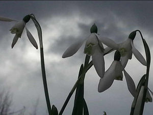 Supporting image for story: Combating the winter blues