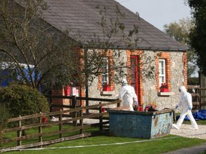 Supporting image for story: Man arrested after three people found dead at property in Co Louth