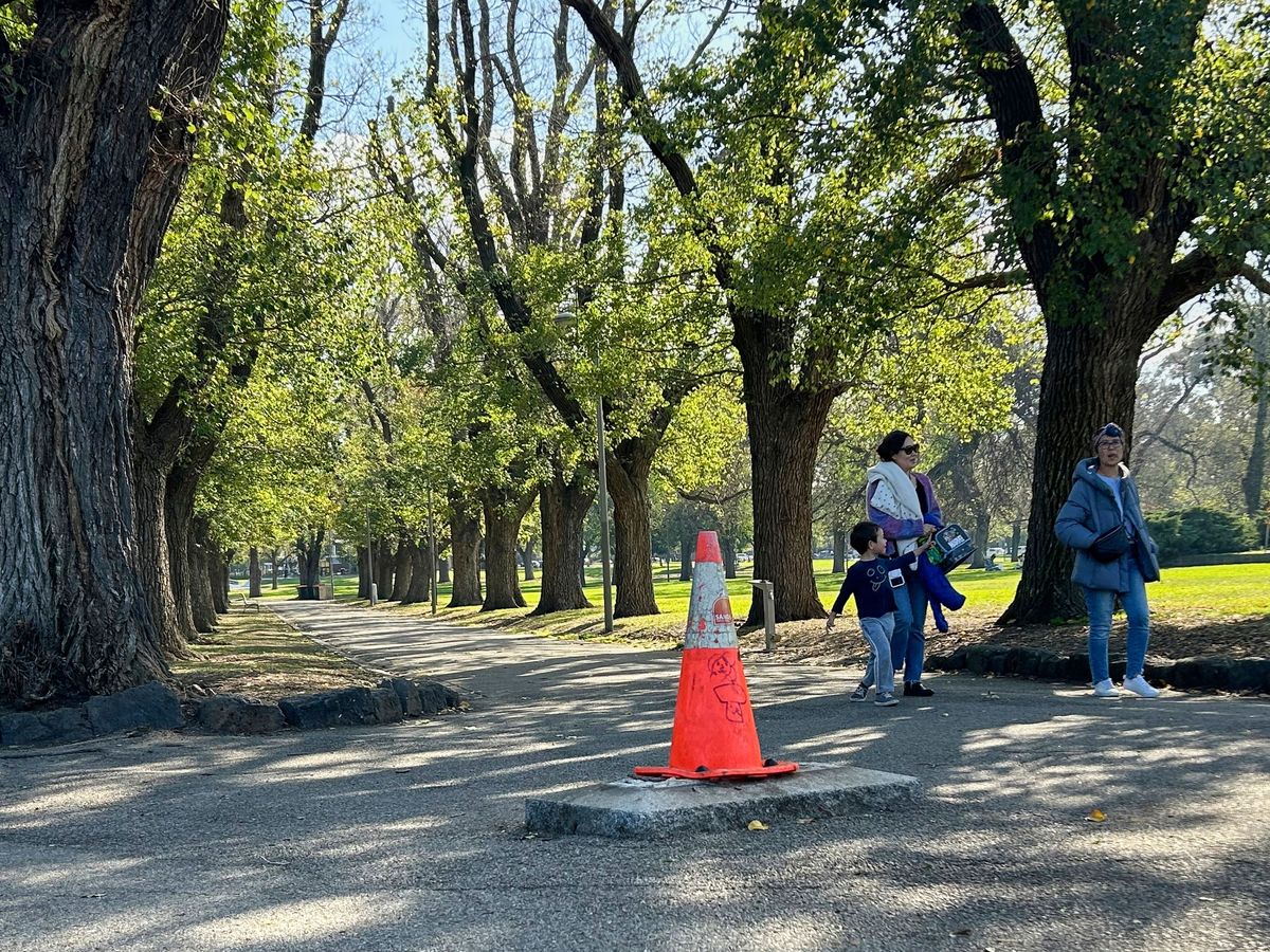 Captain Cook monument removed from Melbourne park after repeated vandalism