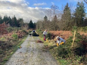 Volunteers at the December Woods for Wood White Butterfly work party. 