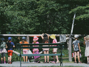 Supporting image for story: Little feet, big adventures: Toddlers go 'OWT' in Oldbury